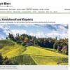 Herbst in der Steiermark: Wein, Kürbiskernöl und Klapotetz